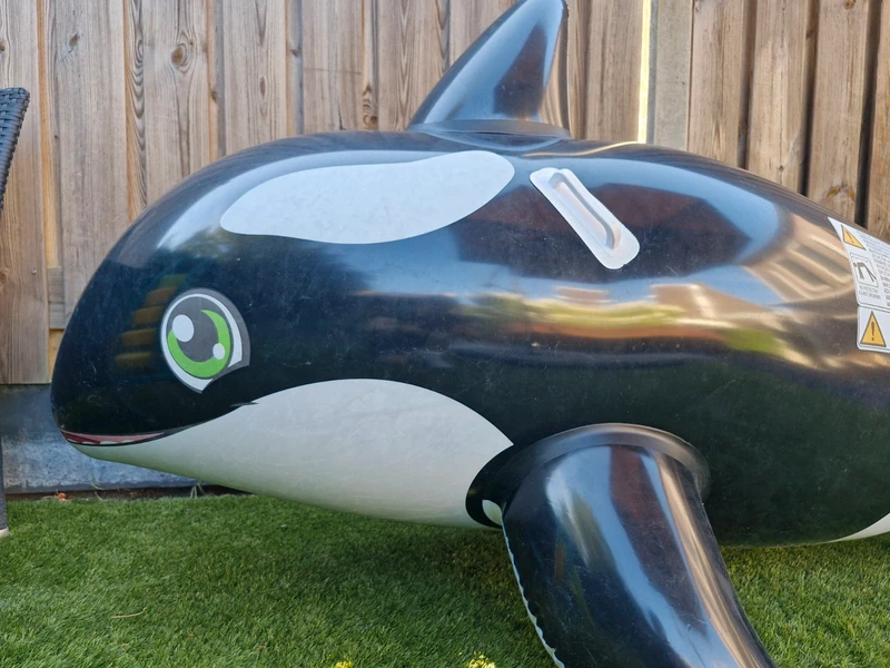 Inflatable Orca Whale — Heat-Stretched, Bestway